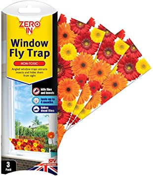 Window Fly Trap